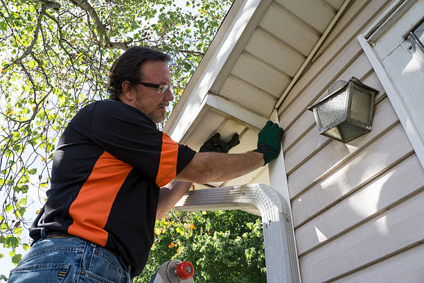 Affordable Siding Repair and Maintenance Services in Shorewood, MN